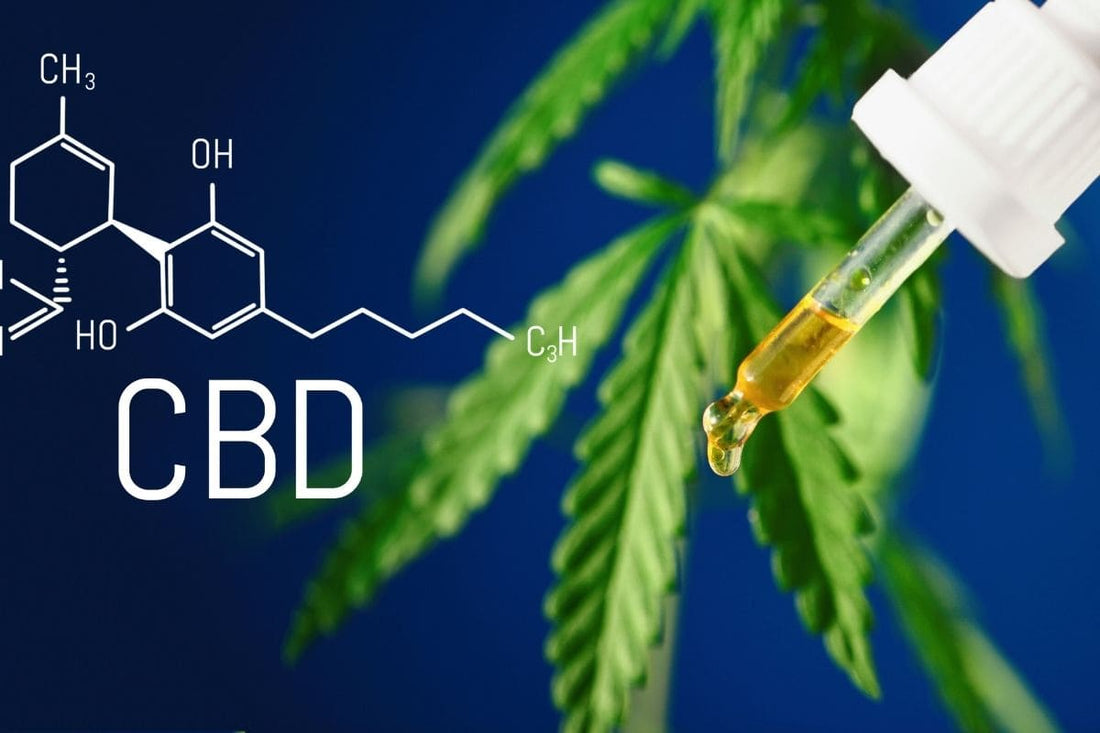 SMOKO CBD Oil oral drops and CBD gummies are made using CBD extracted from hemp plants