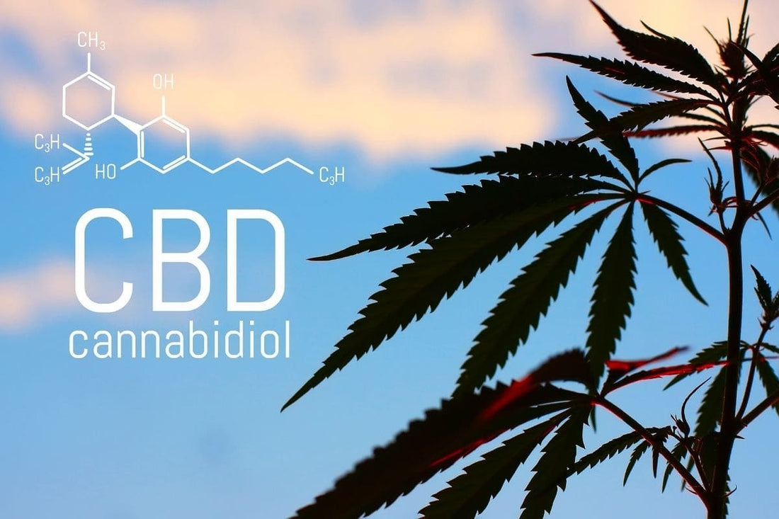 CBD Oil oral drops and CBD gummies could help reduce nicotine withdrawal symptoms