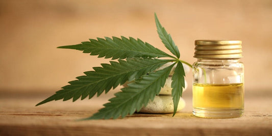 CBD AND THE ENTOURAGE EFFECT EXPLAINED