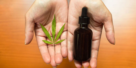 CBD vs THC: KEY DIFFERENCES YOU NEED TO KNOW IN 2025
