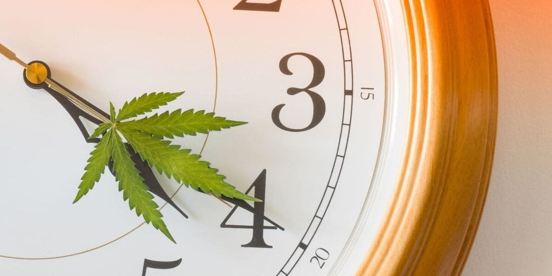 HOW LONG DOES CBD LAST? KEY INSIGHTS
