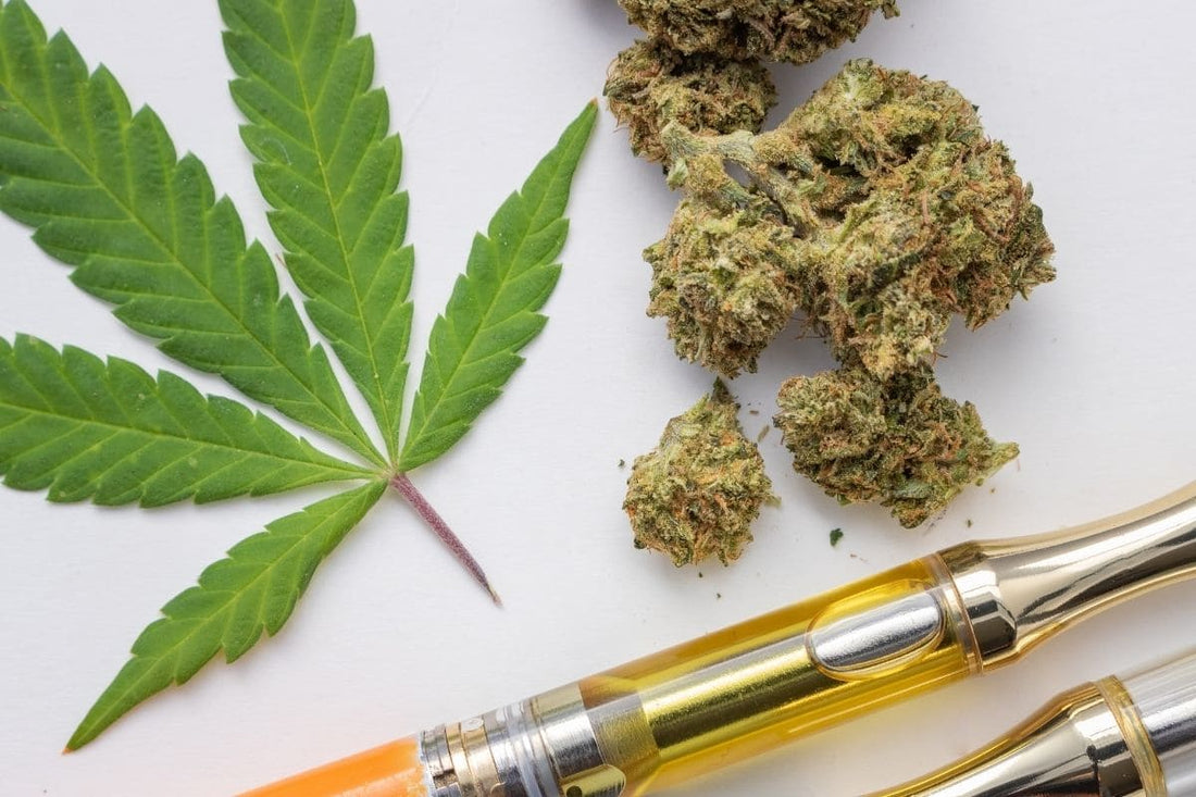 WHAT YOU NEED TO KNOW BEFORE YOU VAPE CBD? – SMOKO CBD