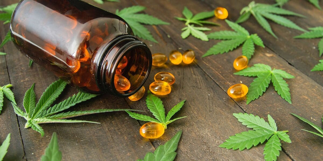 YOUR GUIDE TO CANNABIDIOL CAPSULES UK